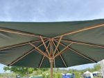 green parasol